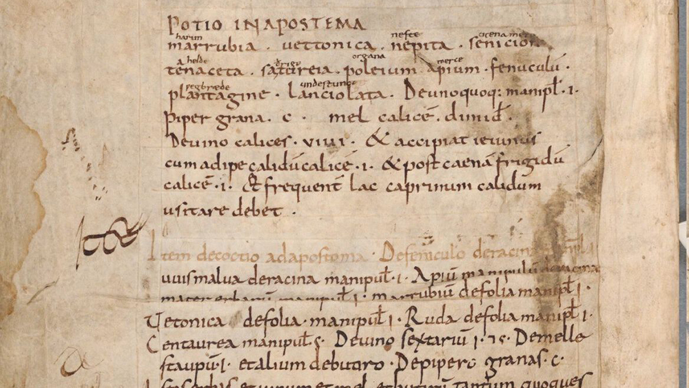 En minuskul tekst - en latinsk tilleggstekst - på baksiden av en bok fra middelalderen.