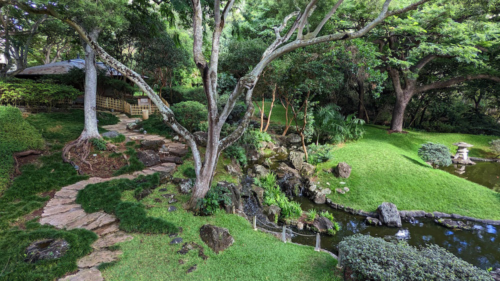 A Japanese garden. 