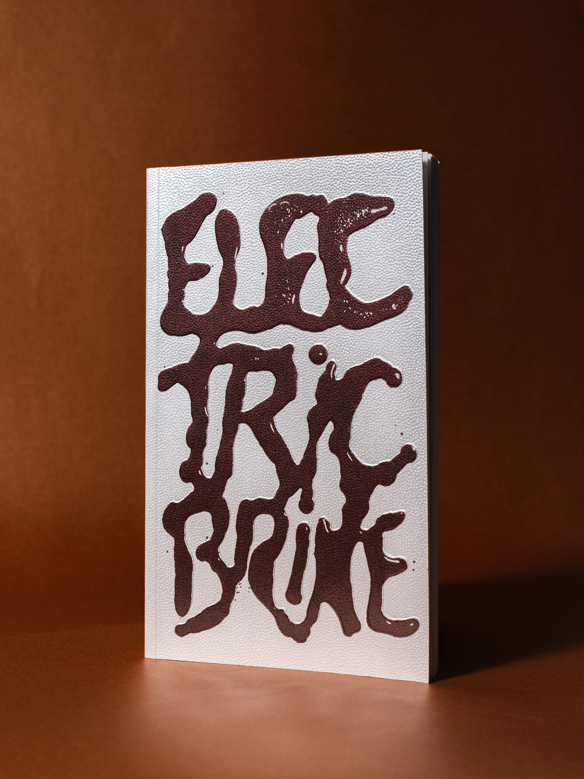 The book titled Electric Brine standing against a brown background