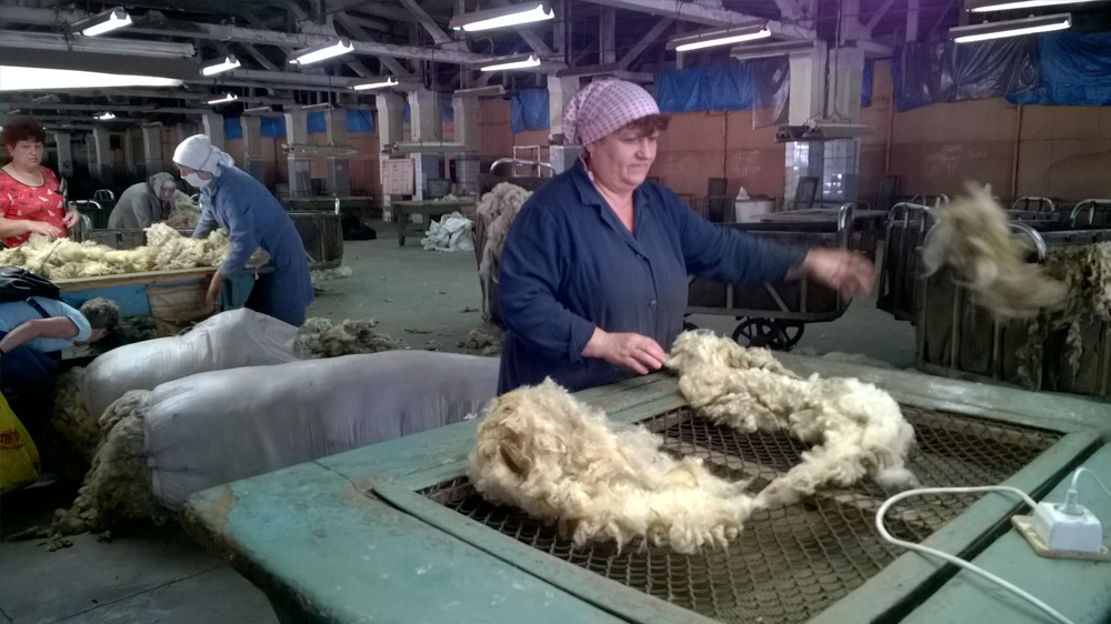 The image shows a woman with a batch of wool in front of her
