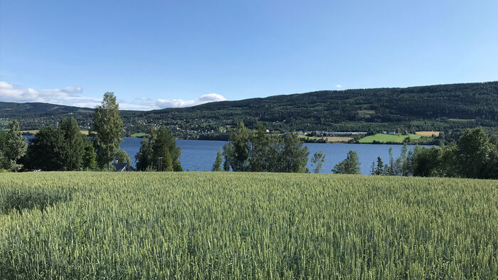 Landscape image, with fields in the background and a fjord and woods in the background
