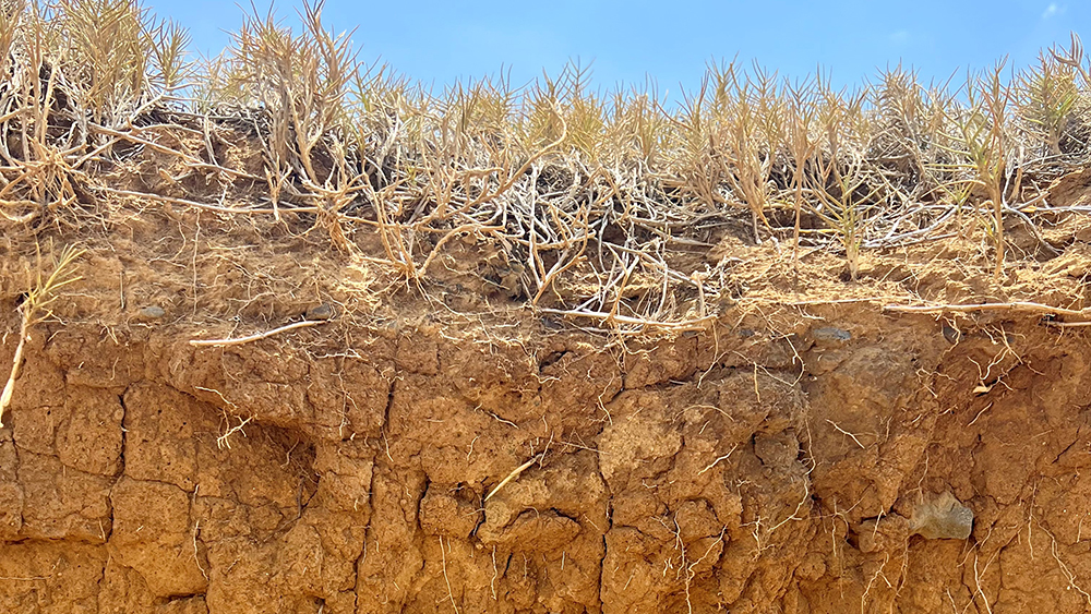 Dry soil and blue sky