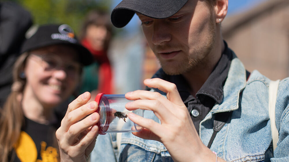 A man is holding a glass container with a bumblebee in. 