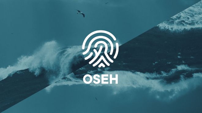OSEH Logo on a diagonally offset background of waves