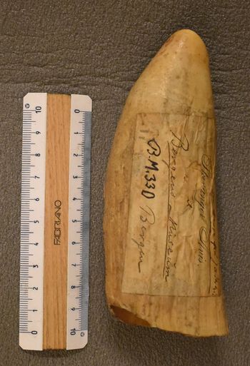 Image may contain: Ruler, Office ruler, Wood, Measuring instrument, Handwriting.