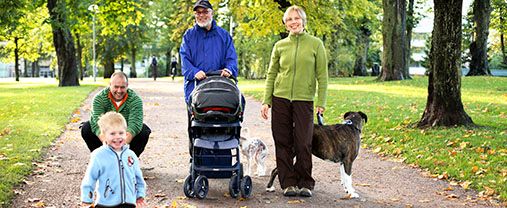 A stroll in a park with one baby wagon, grand dad, a man, a woman and two dogs. Photo.