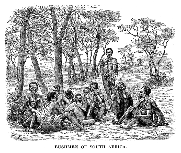 Bushmen of South Africa. Drawing. 