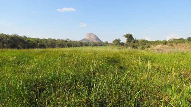 Landscape with grass, a mountain peak and blue sky. Photo
