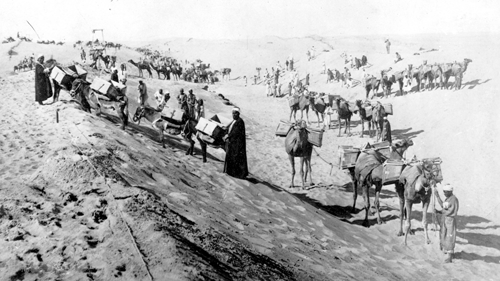 Many workers, donkeys and camels in a desert. Black and white photo.
