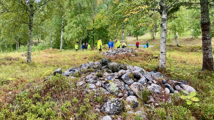 Bildet kan inneholde: anlegg, plantesamfunn, tre, naturlig landskap, mennesker i naturen.
