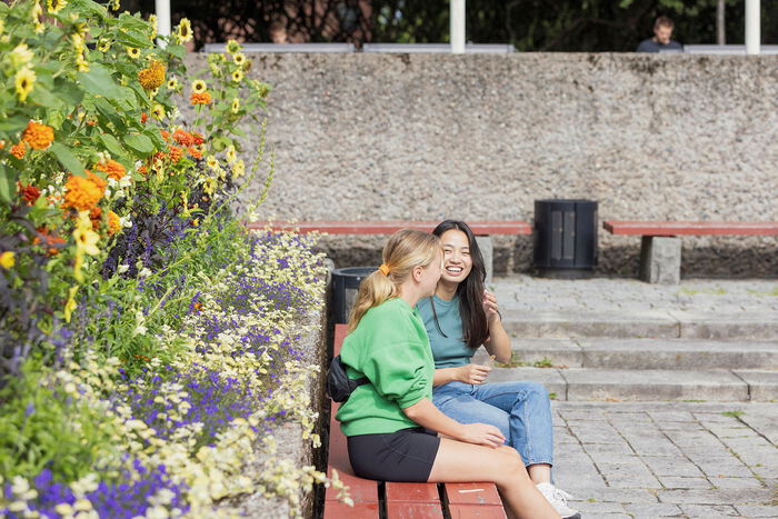 Bildet kan inneholde: blomst, grønn, planter, sommer, busk.