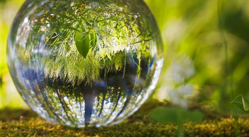 Closeup of a glass ball with bright green nature in the background.