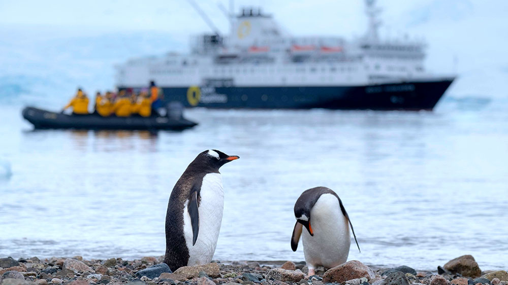 Two pinguins standing infront of a boat with humans