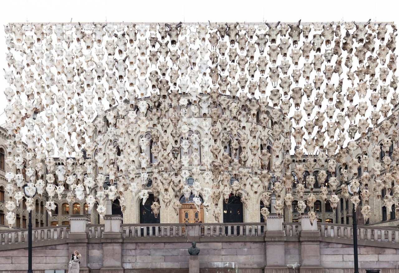 Et temme av hundervis av hodeskaller fra det som ser ut som reisdyr foran Stortinget.