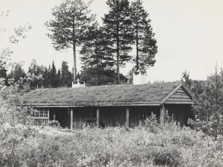 Laftet hytte med gresstak i skogen. Srot hvitt-foto.