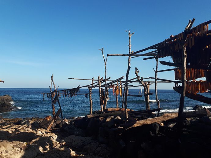 Whale meat is drying in the sun. To people in Lamalera, whale meat is a financial&amp;#160;resource, as well as culturally and symbolically important.&amp;#160;