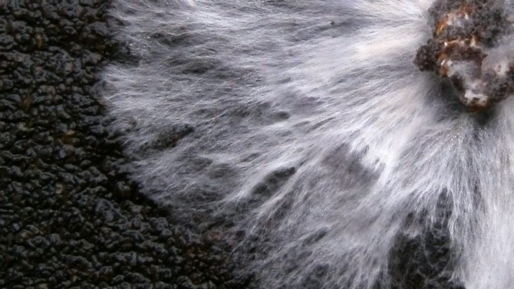 Splashing water.
