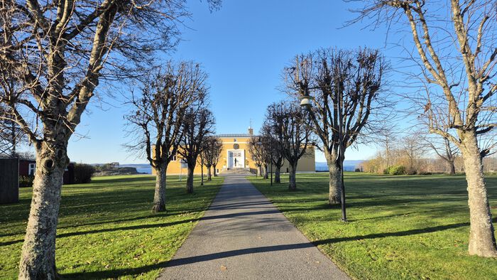 Tree-lined path leading to a yellow building under a clear blue sky, with neatly trimmed grass and bare trees on either side.