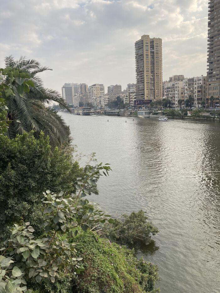 Urban river scene with tall buildings on both sides, lush greenery in the foreground, and a cloudy sky above.
