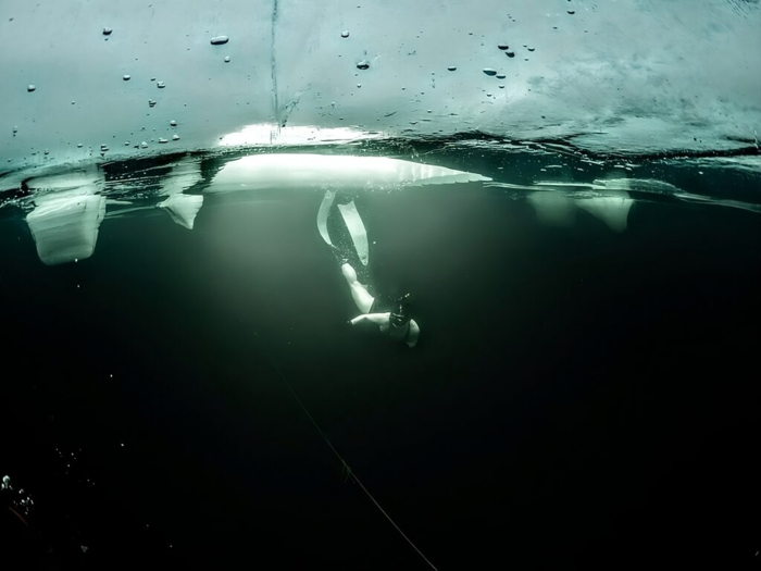 Freediver underwater beneath a sheet of ice, with light filtering through the ice hole above in a dark, cold environment.
