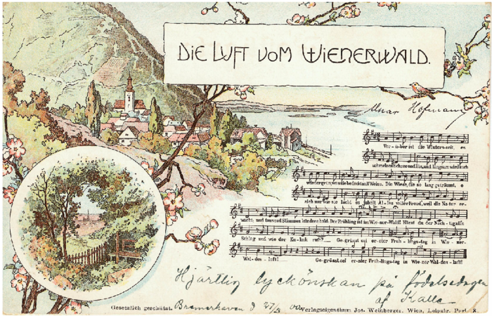 Illustrated cover for Die Luft vom Wienerwald featuring a scenic village landscape and musical score.