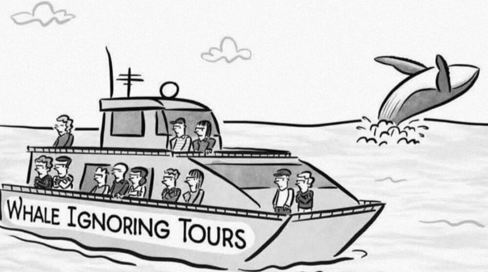 Cartoon of a whale-watching boat whose passengers ignore a breaching whale; the boat is labeled “Whale Ignoring Tours.”