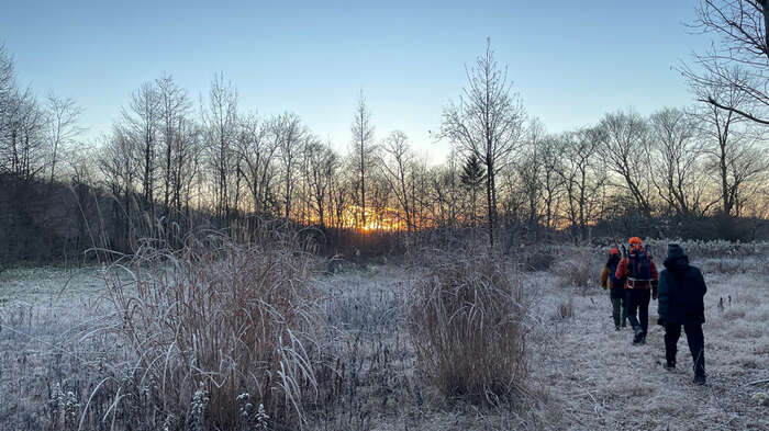 Fieldwork in the Tomakomai Experimental Forest, Hokkaido, Japan.