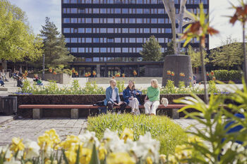 Three students, one man and two women, are sitting on a bench outside on the Frederikke-square. It is sunny and summery. There are flowers in the foreground. 