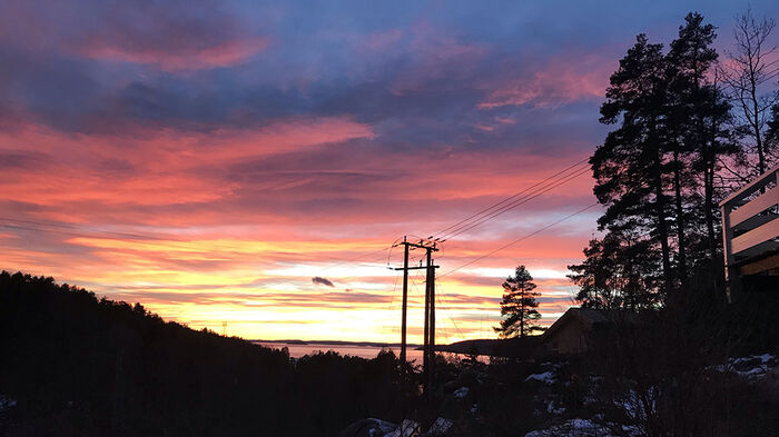 En solnedgang om vinteren med farger i gult rosa og blått. Foto.