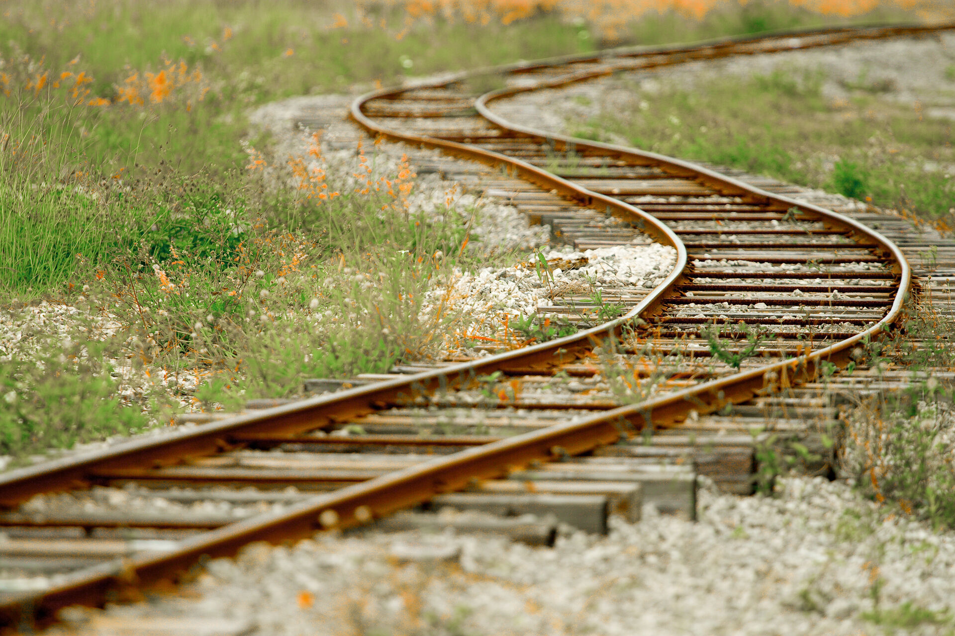 Abandoned rusty railway tracks in rural area