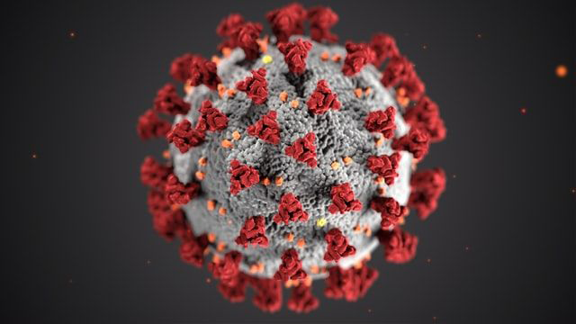 Bilde av et coronavirus