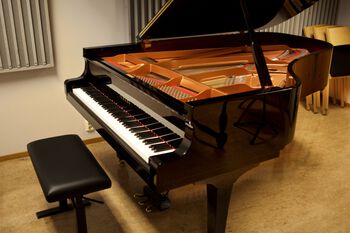 musikk instrument ,piano ,tastatur ,musikalsk keyboard ,tilbehør til musikkinstrumenter.