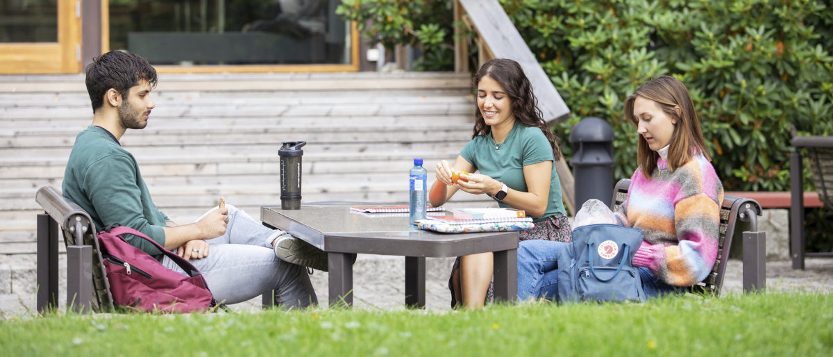 Tre studenter sitter ved en benk i Ivar Aasens hage og spiser lunsj. Foto.