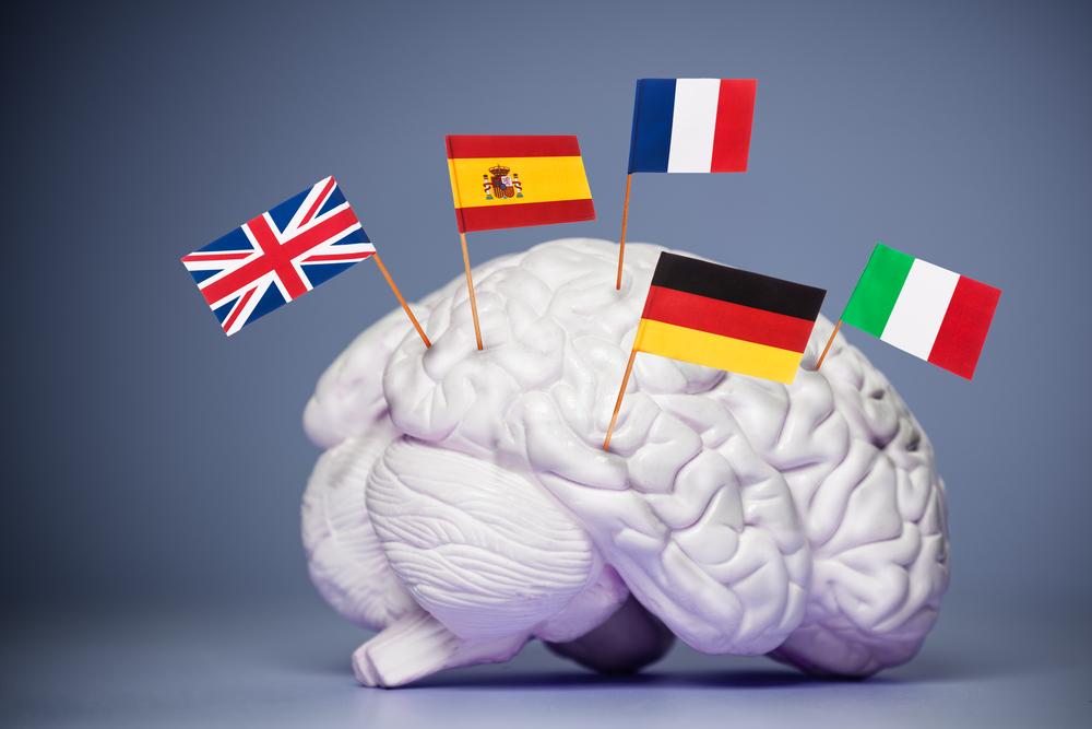The multilingual mind: Multiple flags pinned in a model of human brain