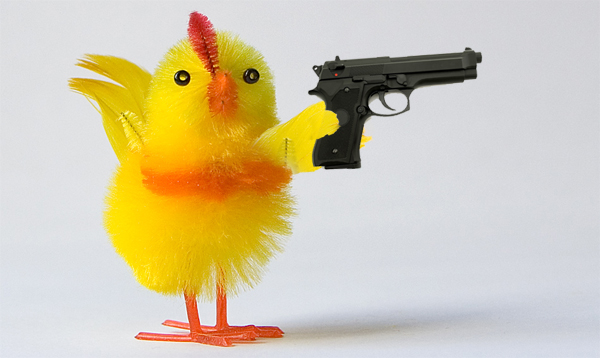 kycklingmedpistol