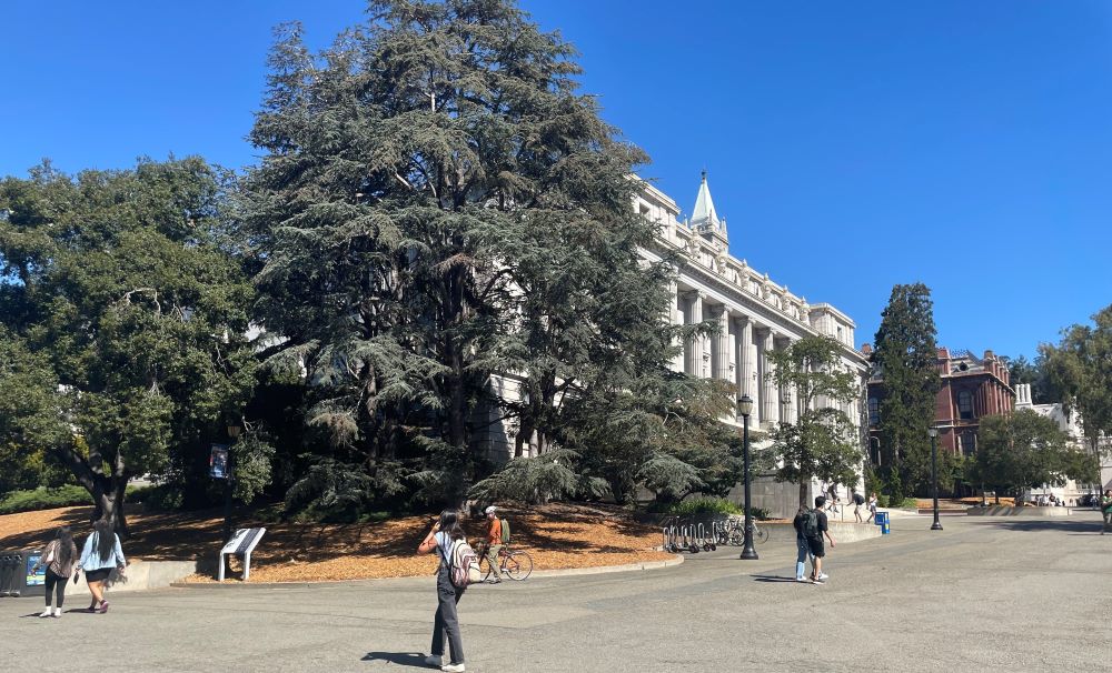 Berkeley campus med trær, hvit bygning og noen mennesker i forgrunnen