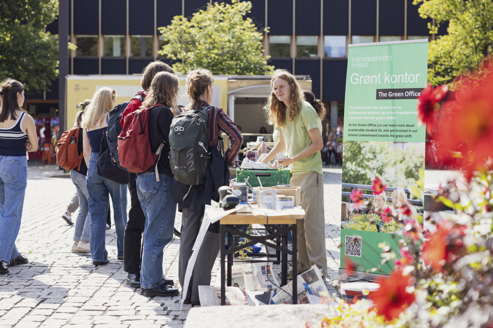 Bildet kan inneholde: fottøy, jeans, bukse, anlegg, blomst.